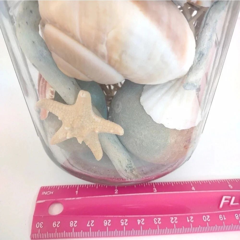 Seashell Jar Artisian Starfish Beachy Tones Coastal Aesthetic - Picture 9 of 12